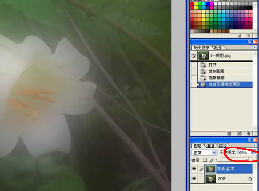 Photoshop处理数码照片的背景
